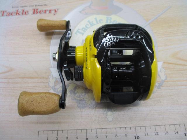 ﾀﾄｩｰﾗR100HL YL SD