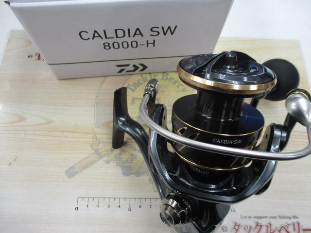 22ｶﾙﾃﾞｨｱSW 8000-H