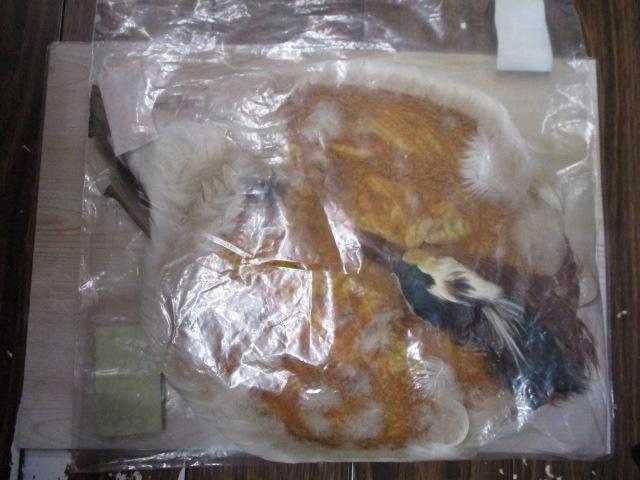 ﾌﾗｲﾏﾃﾘｱﾙ