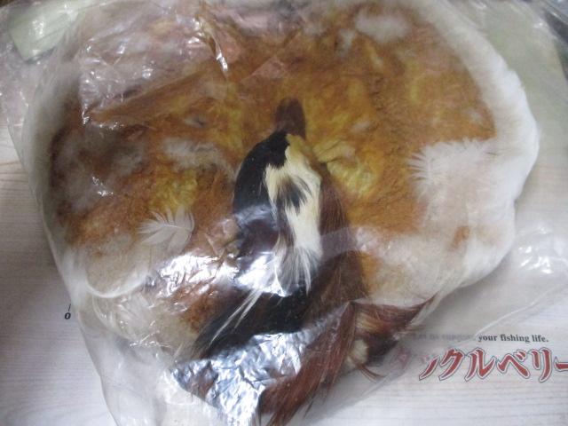ﾌﾗｲﾏﾃﾘｱﾙ