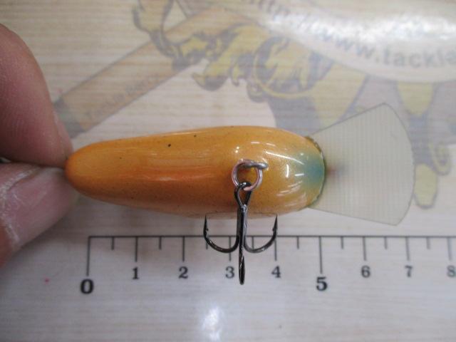 ﾜｲﾙﾄﾞﾎﾞｱ