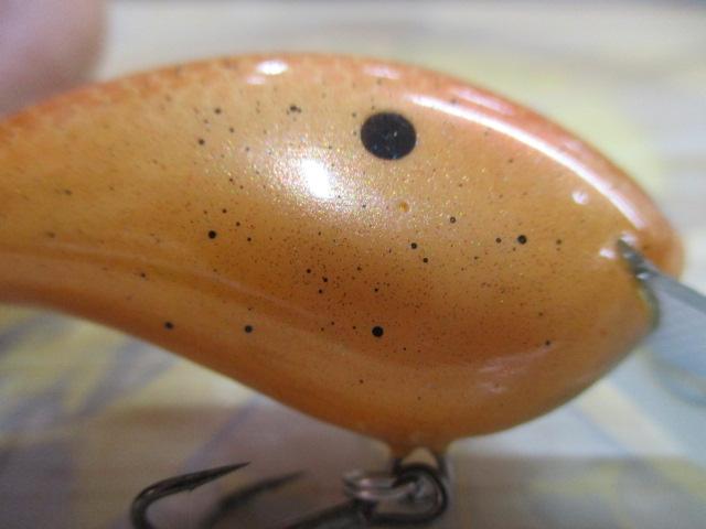ﾜｲﾙﾄﾞﾎﾞｱ