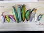【ｾｯﾄ商品】ﾌﾞﾙｰﾌﾞﾙｰﾙｱｰ10個ｾｯﾄ