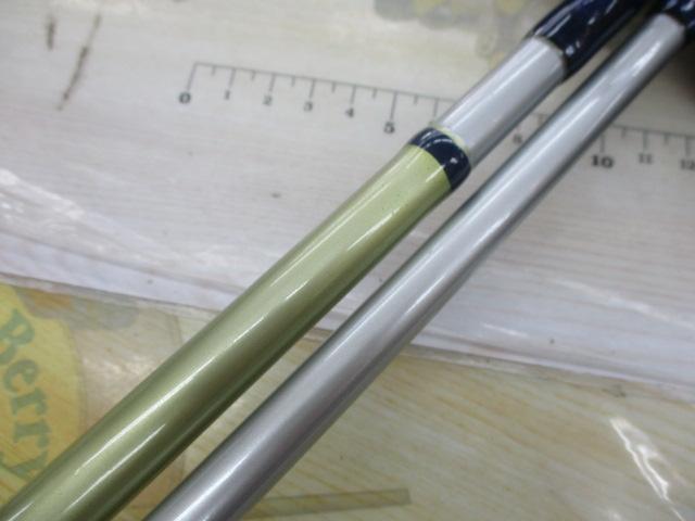 ﾌﾞﾙｰﾗﾝﾅｰ110 SS110-6 ｽﾃﾝSIC