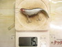 ｶｽﾞﾝⅡ