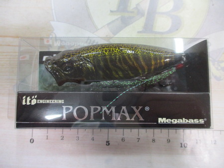 ﾒｶﾞﾊﾞｽ　POPMAX
