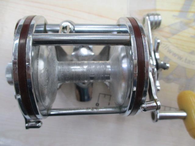 ｼｰﾗｲﾝNo.25
