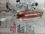 【ｾｯﾄ商品】ﾀﾞｰﾃﾞﾌﾞﾙ ﾛｹｯﾄﾃﾞﾌﾞﾙｲﾝﾌﾟ　2個