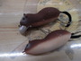 【ｾｯﾄ商品】ﾍﾄﾞﾝﾙｱｰｾｯﾄ