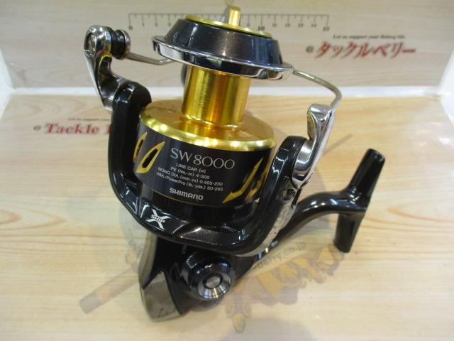 13ｽﾃﾗSW 8000PG
