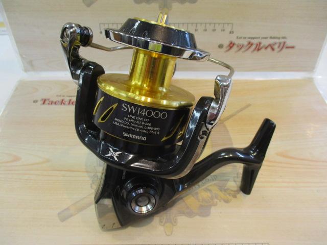 13ｽﾃﾗSW 10000PG