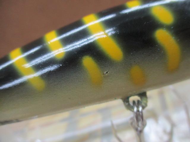 ﾋﾞｯｸﾞﾀｲｶﾞｰ
