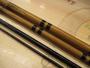 月光 柔 13