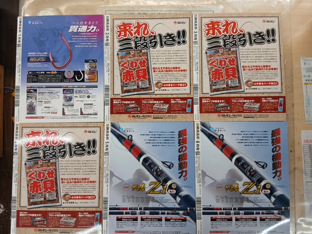 【ｾｯﾄ商品】石鯛ｸﾗﾌﾞ2008年11冊ｾｯﾄ