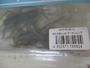 【ｾｯﾄ商品】ｺｲｹｻﾝﾀﾞｰL　2点ｾｯﾄ