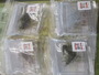 【ｾｯﾄ商品】ｺｲｹｻﾝﾀﾞｰｱｿｰﾄｾｯﾄ