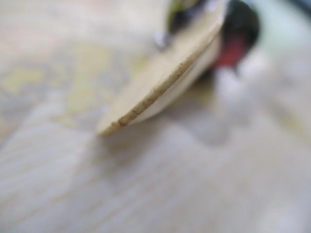 ﾊﾞｽﾊﾝﾀｰ