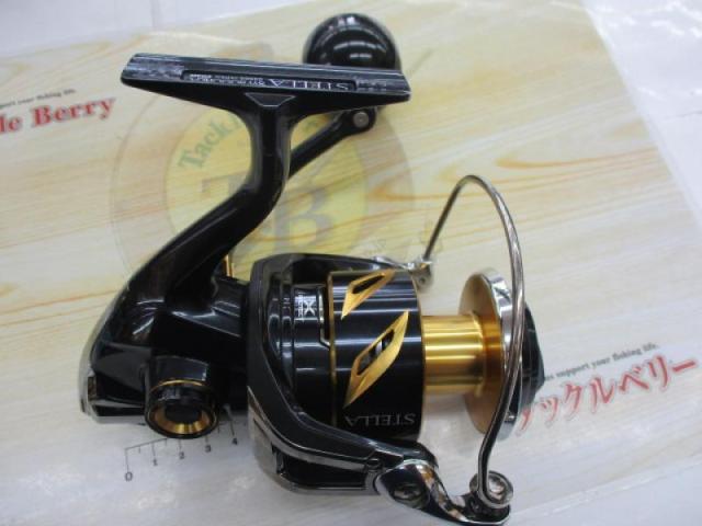 19ｽﾃﾗSW 8000HG