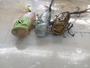 【ｾｯﾄ商品】ﾎﾟｯﾌﾟX3個ｾｯﾄ