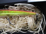 【ｾｯﾄ商品】DUO 鬼鱒正影桐龍140F110Fｾｯﾄ