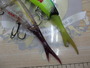 【ｾｯﾄ商品】ﾈｺｿｷﾞ