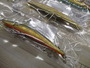 【ｾｯﾄ商品】ﾀｯｸﾙﾊｳｽ　ﾂｲﾝｸﾙ2個ｾｯﾄ