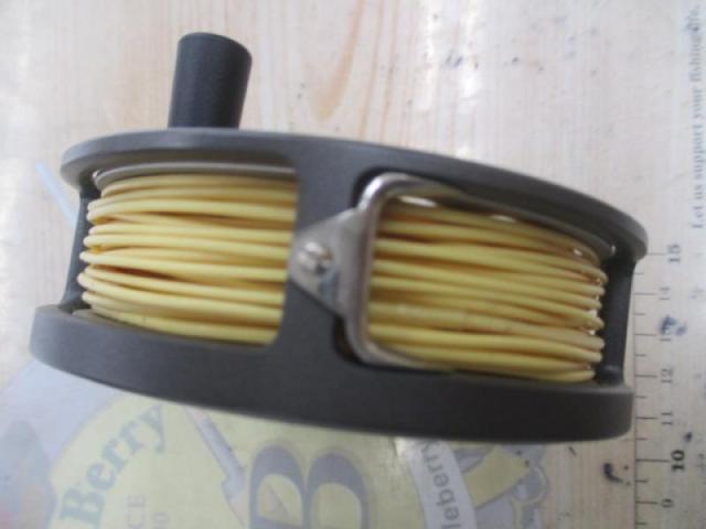 ﾌﾟﾘﾝｾｽ