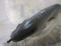 ﾌﾗｯｸﾞ170