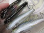 【ｾｯﾄ商品】ｴｱｰｵｸﾞﾙ　ｾｯﾄ