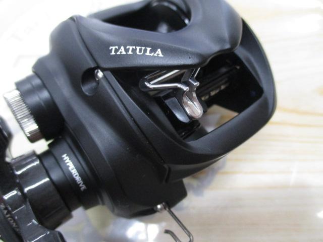 24ﾀﾄｩｰﾗ TW 100H