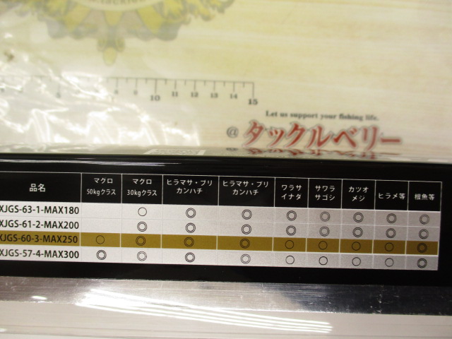 特価ｿﾙﾃｨｰｽﾃｰｼﾞﾌﾟﾛﾄﾀｲﾌﾟｼﾞｷﾞﾝｸﾞXJGS-60-3-MAX250