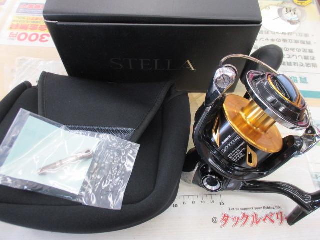 19ｽﾃﾗSW 10000PG