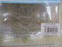 【ｾｯﾄ商品】ｺｲｹｻﾝﾀﾞｰﾐﾃﾞｨｱﾑ　5個ｾｯﾄ