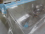 【ｾｯﾄ商品】ｺｲｹｻﾝﾀﾞｰ13㎜　2点ｾｯﾄ