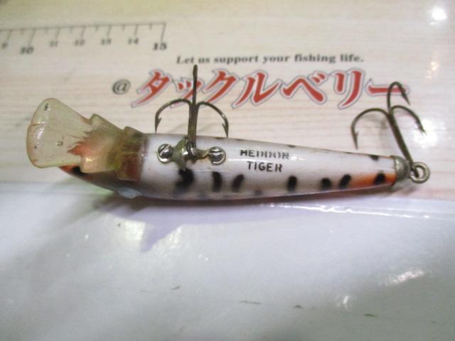 ﾀｲｶﾞｰ