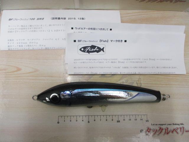 ﾌﾞﾙｰﾌｨｯｼｭ100