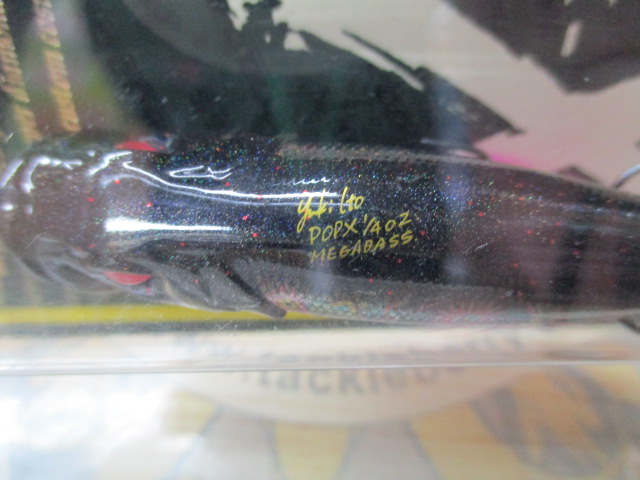 POPX(SP-C) PAISLEY 