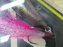 POPX(SP-C) PAISLEY 
