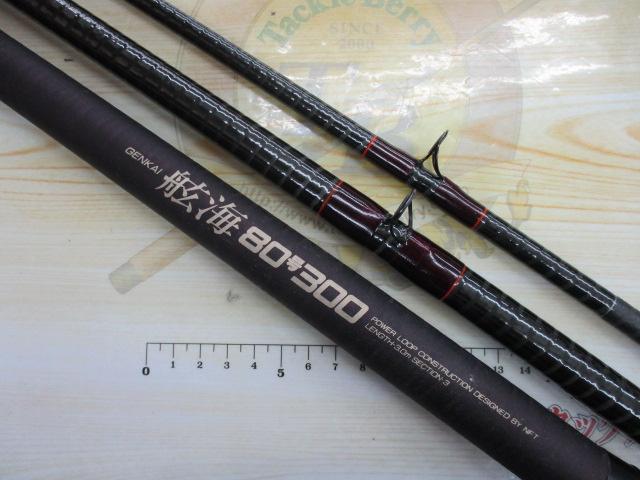 ﾊﾟﾜｰﾙｰﾌﾟ舷海 80-300