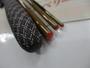 普天元 獅子吼 10.5