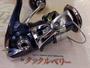 21ﾂｲﾝﾊﾟﾜｰSW 5000HG