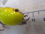 ﾊﾄﾘｰｽﾞ とびはぜくん