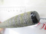 荒法師 11