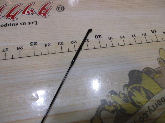 CG兆鯉 15