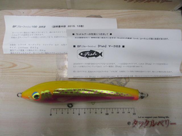 ﾌﾞﾙｰﾌｨｯｼｭ100