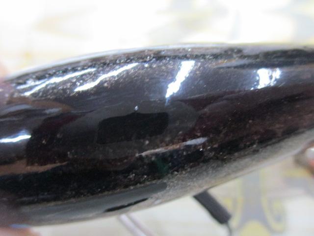 小さい海馬95#生ﾎﾞﾗ