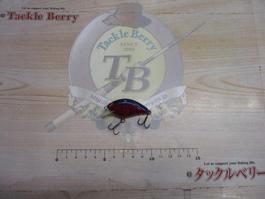B-ﾀｲﾄSR