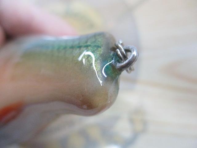 ｳｯﾄﾞﾍﾞｲﾄ
