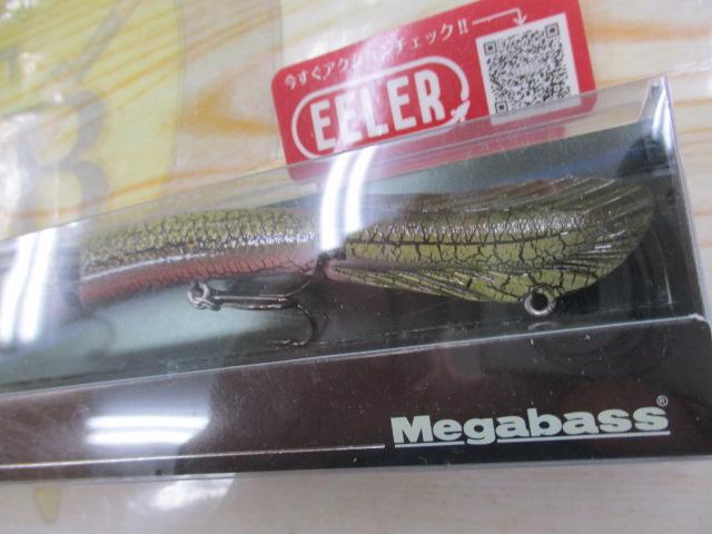 ｲｰﾗｰ