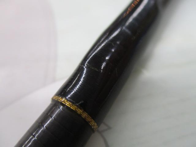PRO4 EX TS-66S
